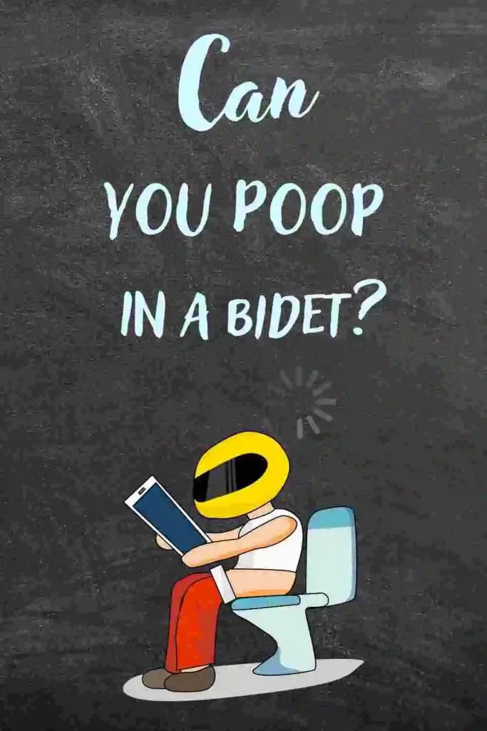 Can You Poop In A Bidet
